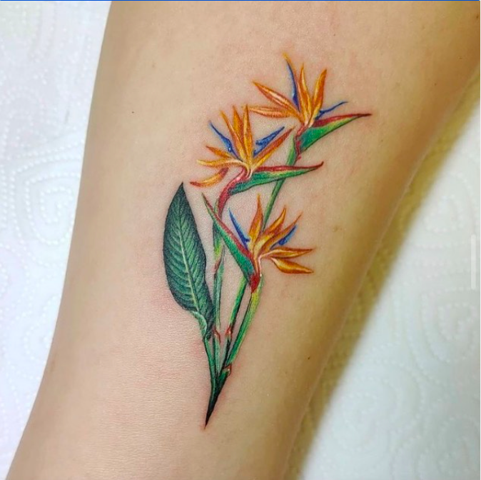 71 Colorful Bird Of Paradise Flower Tattoo Designs You’Ll Love - Psycho ...