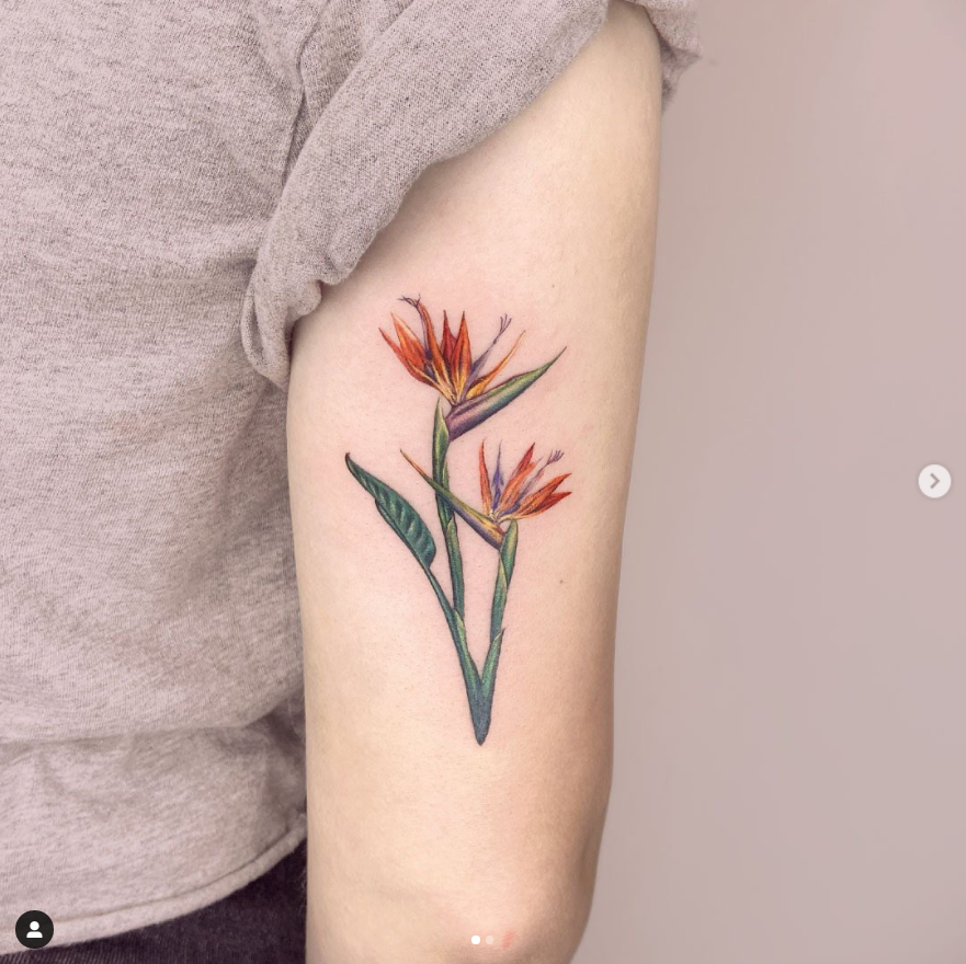 71 Colorful Bird Of Paradise Flower Tattoo Designs You’Ll Love - Psycho ...