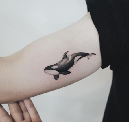 41 Killer Whale Tattoo Designs to Unleash Oceanic Majesty - Psycho Tats