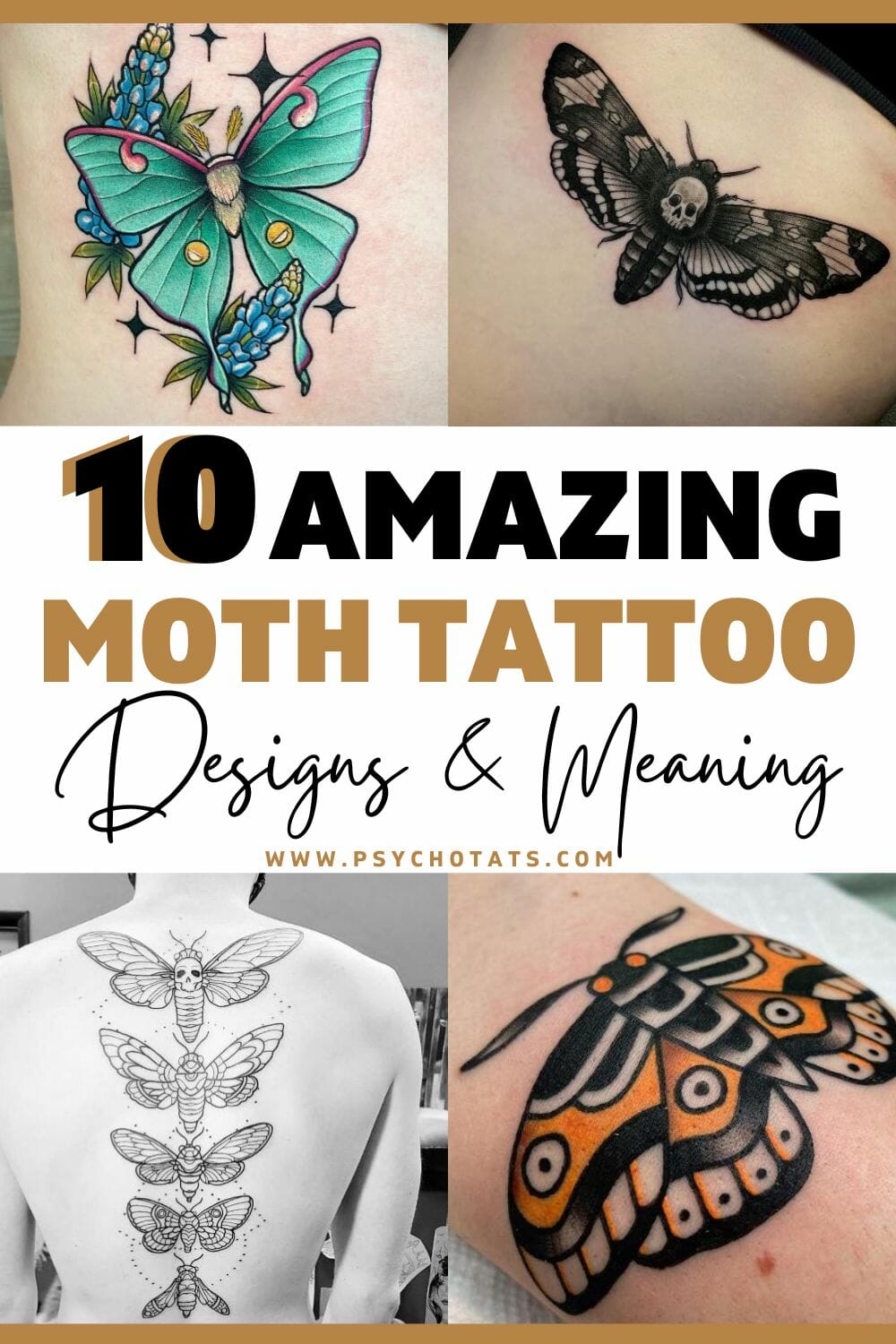 10 Amazing Moth Tattoo Meaning Linked With Moth Species In Tattoo ...