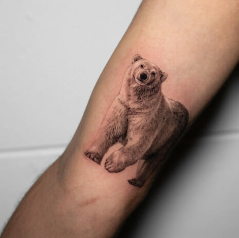 71 Polar Bear Tattoo Designs For Wildlife Enthusiasts And Nature Lovers Challenged Polar Bear Tattoo