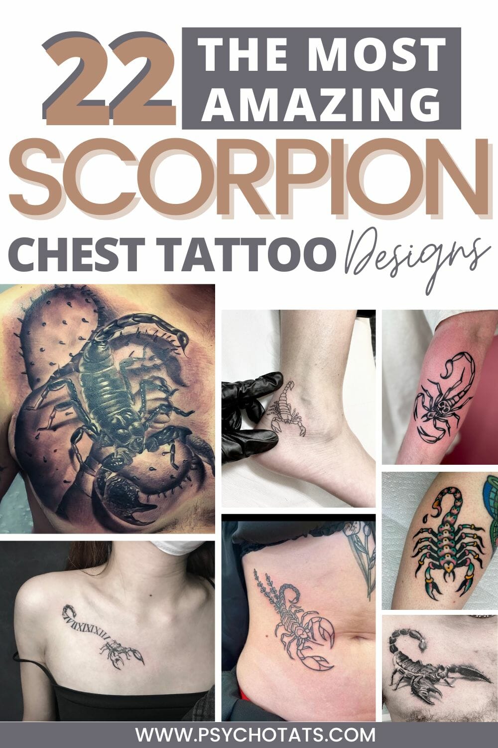 22 Scorpion Chest Tattoo Designs - Psycho Tats